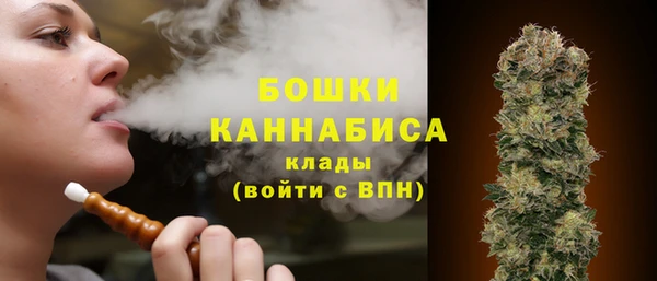 твердый Елизово