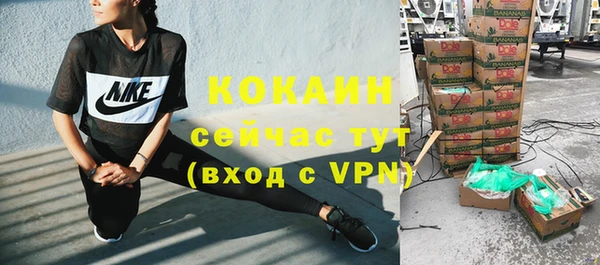 твердый Елизово